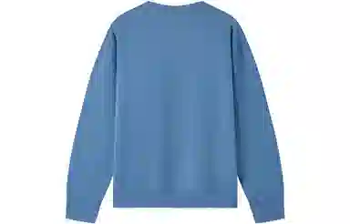 Champion FW23 Rochester Logo