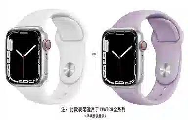 ZS AppleWatch AP4001