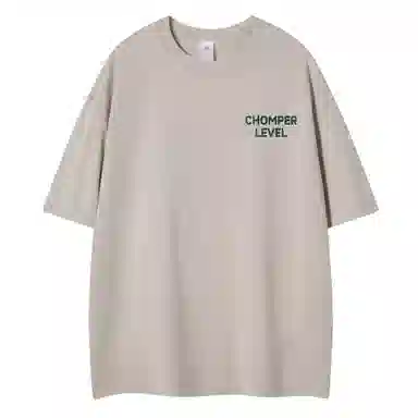LEVEL T