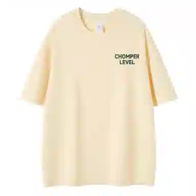 LEVEL T