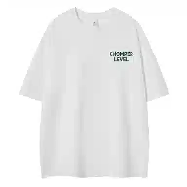 LEVEL T