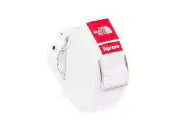 Supreme SUP-FW22-1082