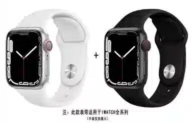 ZS AppleWatch AP4001