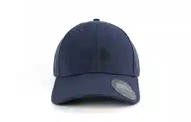 THE NORTH FACE logo 4VSV