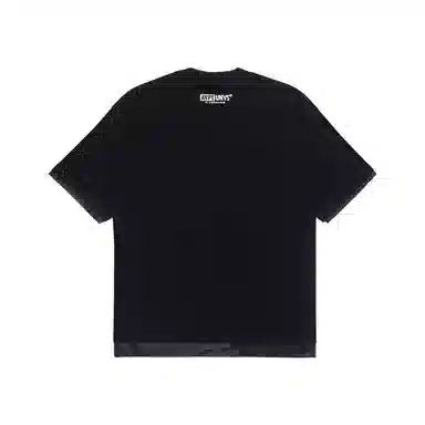 Aape T