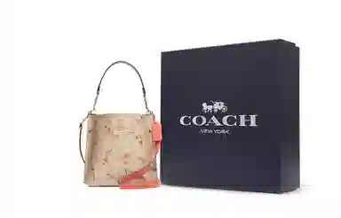 COACH Mollie 22 Logo
