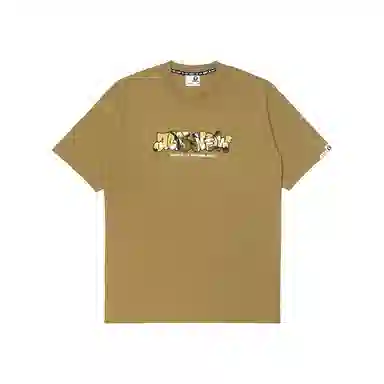 Aape T