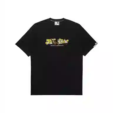Aape T