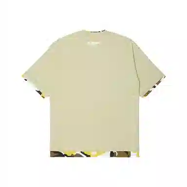 Aape T