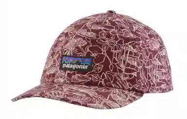 patagonia