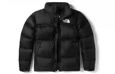 The North Face 1996 Retro Nuptse Jacket