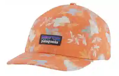 patagonia