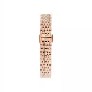 Emporio Armani AR60043