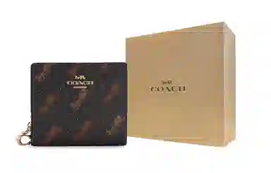 COACH Snap Wallet 11