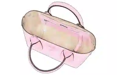 LONGCHAMP Roseau Pink