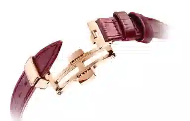 Sea-Gull 50 719.16.1132L