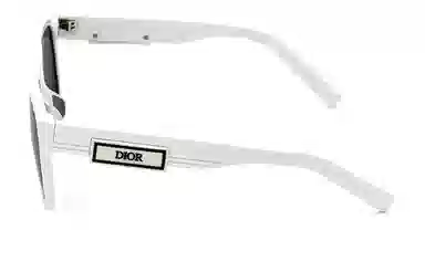 DIOR DIORB23 S2F