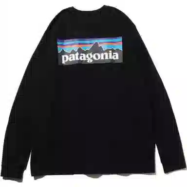 Patagonia P-6 Responsibili Tee