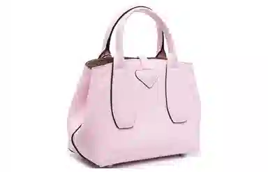LONGCHAMP Roseau Pink
