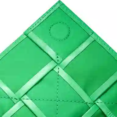 Bottega Veneta Cassette Belt Parakeet Green