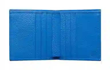 Gucci Wallet Blue