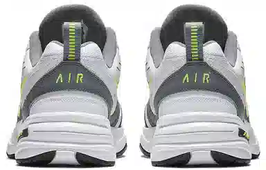 Nike Air Monarch 4 Cool Grey