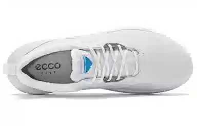 ecco GOLF BIOM H4