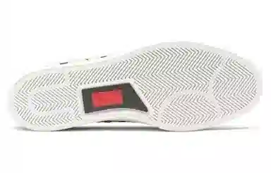 Converse Jack Purcell Zebra Stripe