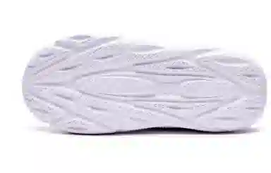 Champion Retro Sports
