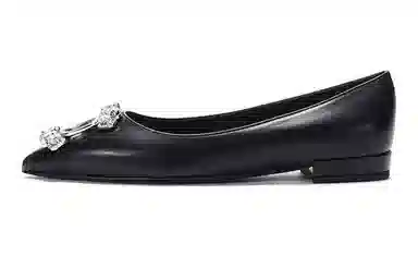 Ferragamo Bejewelled Ballet