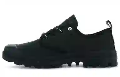 Palladium Pampa OX Future