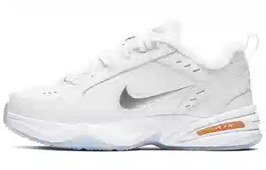 Nike Air Monarch 4 Snow Day