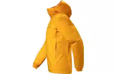 Arcteryx Atom Hoody