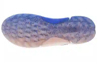ecco Biom H4