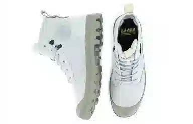Palladium Pampa