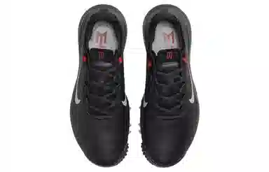 Nike Tiger Woods 13