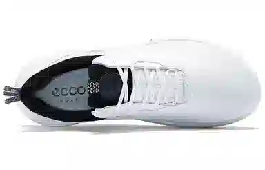 ecco Golf Biom H4