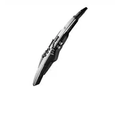 Roland AE30 Aerophone