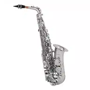 BULLFIGHTER BullFighter Saxphone E