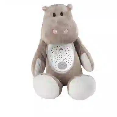 KAICHI Z999-311B 01 36