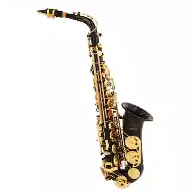 BULLFIGHTER BullFighter Saxphone E
