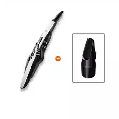 Roland AE20AE-20W Aerophone