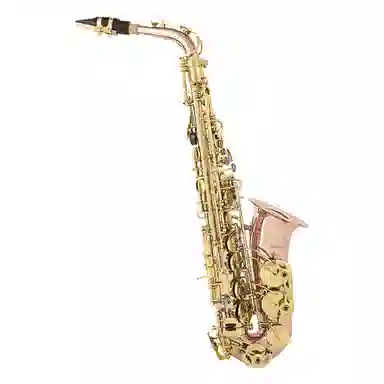 BULLFIGHTER BullFighter Saxphone E