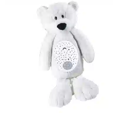 KAICHI Z999-311B 01 36