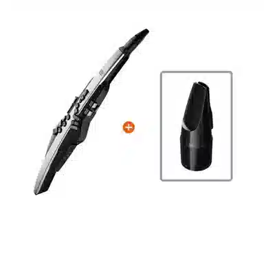 Roland AE30 Aerophone