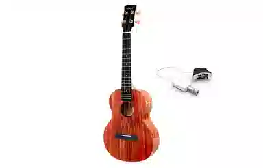 enya K1 2326