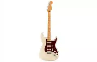 Fender PlayerPlus( Stratocaster