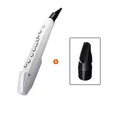 Roland AE01C " Aerophone