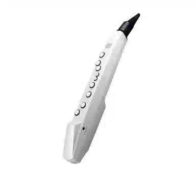 Roland AE01C " Aerophone