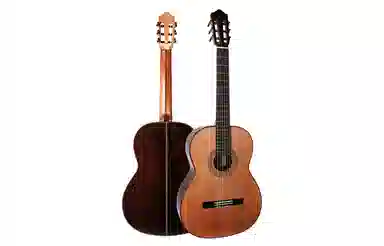 (Kapok) KAS001KAS002 39